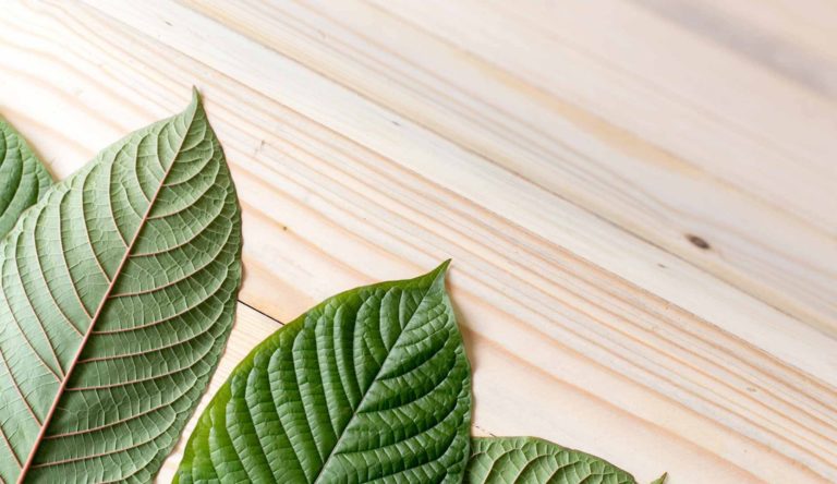 5 Greatest Facts About Kratom You Need To Know Right Now!