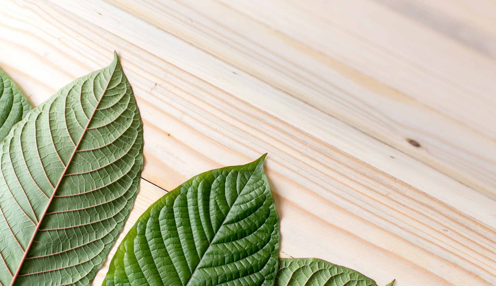 5 Greatest Facts About Kratom You Need To Know Right Now!
