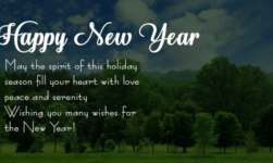 Happy New Year 2019; Wishes, Status, & Messages for WhatsApp, Instagram, & Facebook!