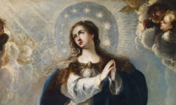 Check Some Facts About The Immaculate Conception!