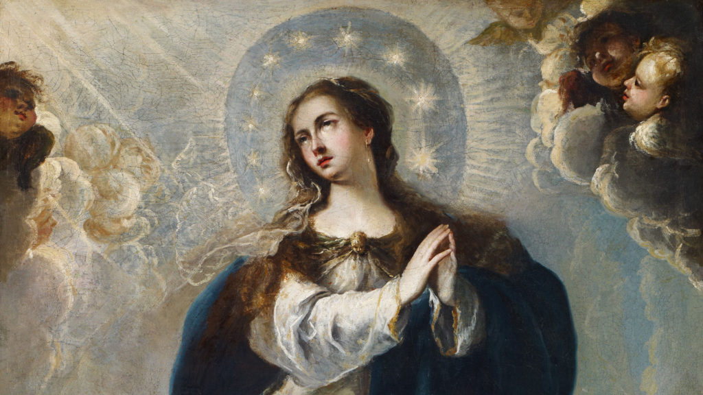 Check Some Facts About The Immaculate Conception!