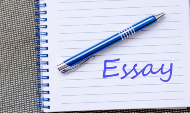 Here Are Some Pro Essay Writing Tips Which You Need To Be Consider