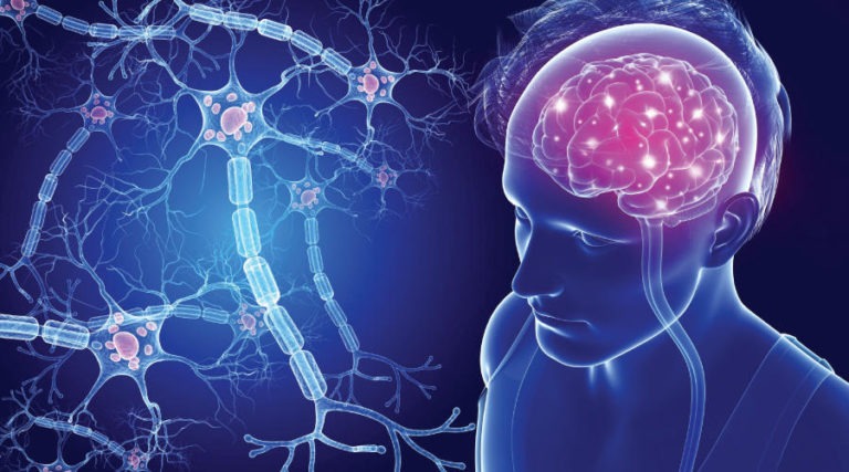 Multiple Sclerosis: Common Symptoms And Diagnosis Options