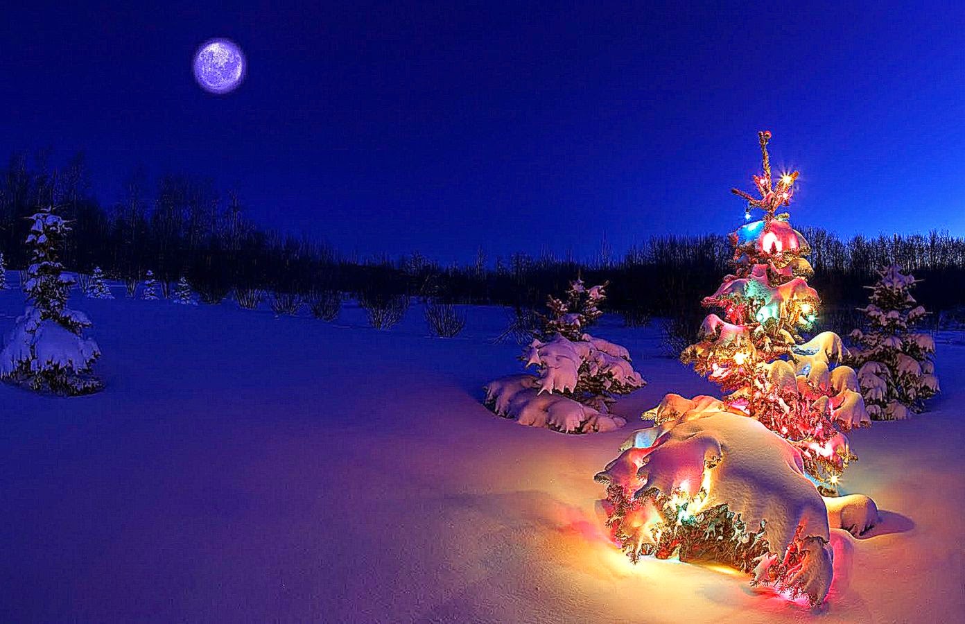 Winter Solstice Event In Seattle