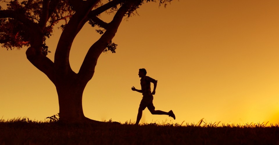 20 Best Motivational & Inspirational Health Quotes To Inspire You To Stay Fit!