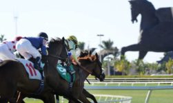 $9 Million Pegasus World Cup Of 2019 Edition Contenders