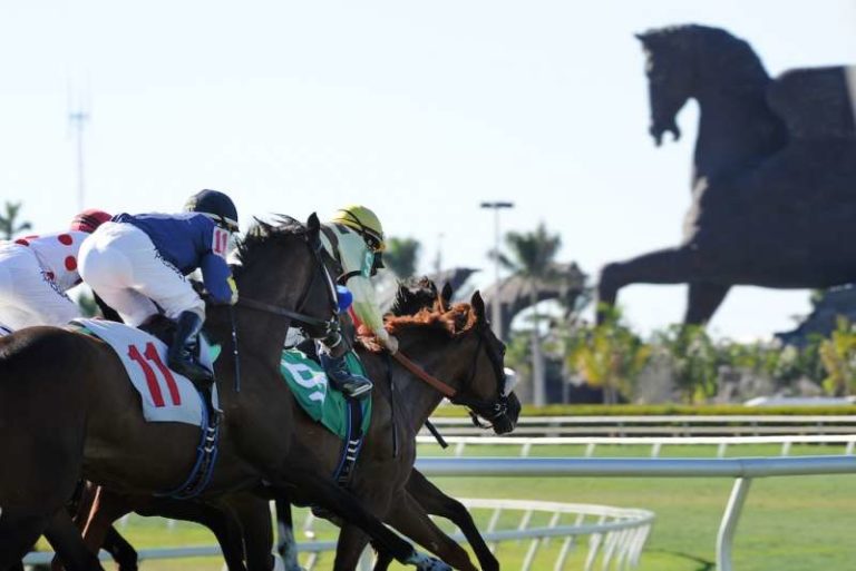 $9 Million Pegasus World Cup Of 2019 Edition Contenders