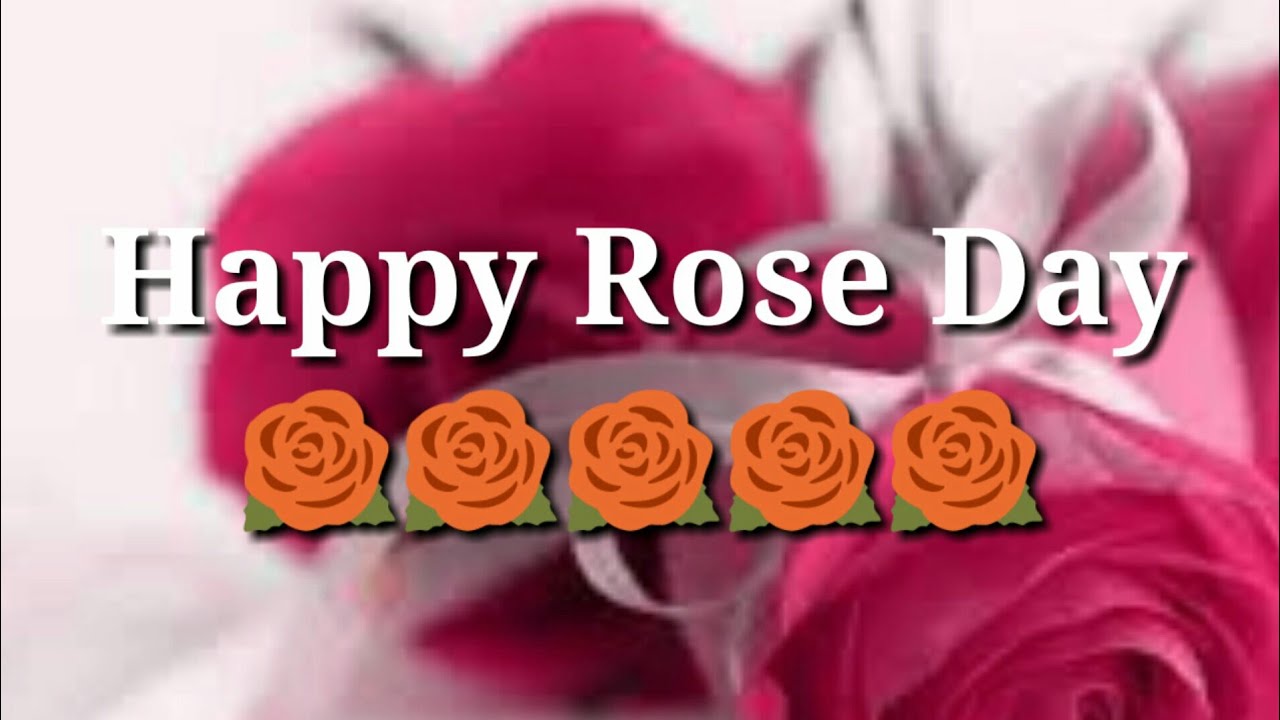 Happy Rose Day 2019: Collections Of Rose Day Wishes, Message & Quotes