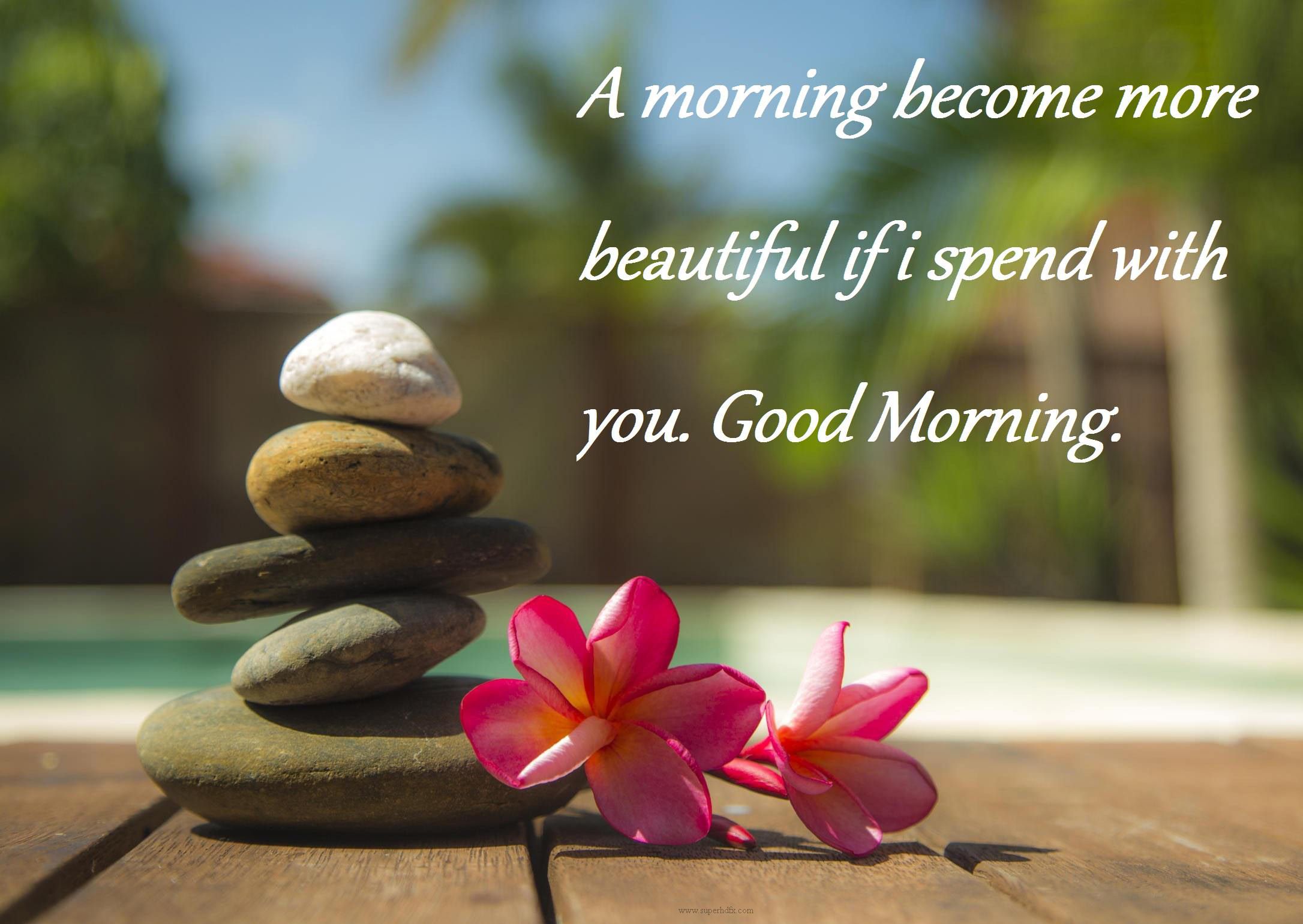 here-are-best-good-morning-messages-wishes-quotes-you-may-share-now