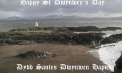 St.Dwynwen Day: Some Interesting Facts And The Story Behind The Celebration