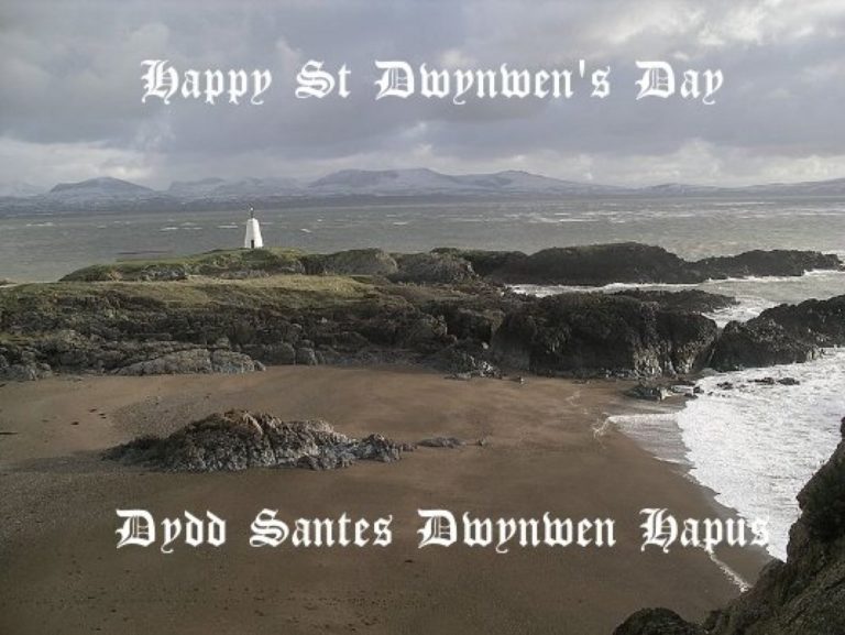 St.Dwynwen Day: Some Interesting Facts And The Story Behind The Celebration