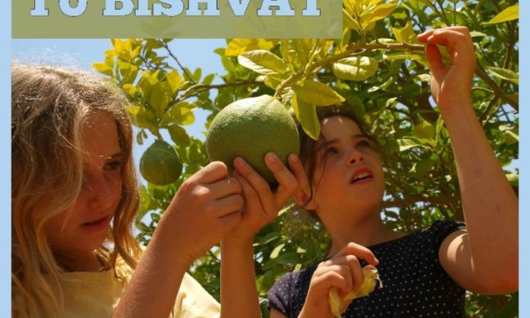 Tu Bishvat (15 Shevat): Origin And Celebration Of The Jewish Tree Holiday
