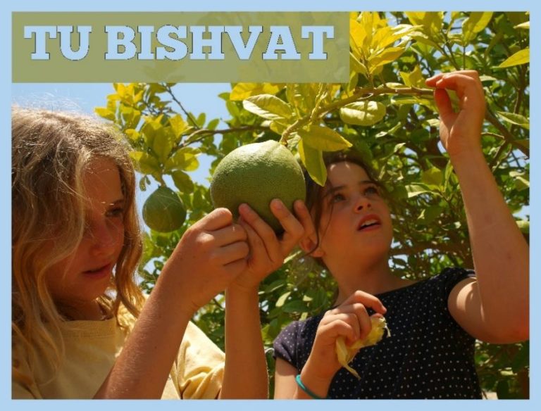 Tu Bishvat (15 Shevat): Origin And Celebration Of The Jewish Tree Holiday