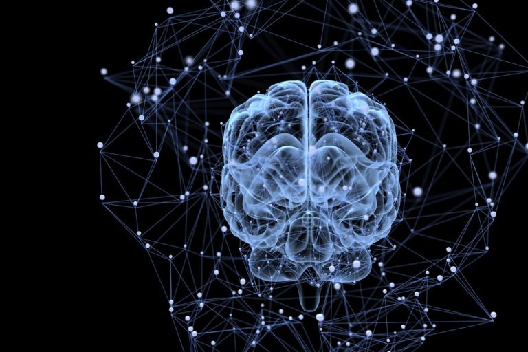 What Is An Artificial Neural Network? How Does It Work?