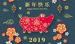 happy chinese new year greetings