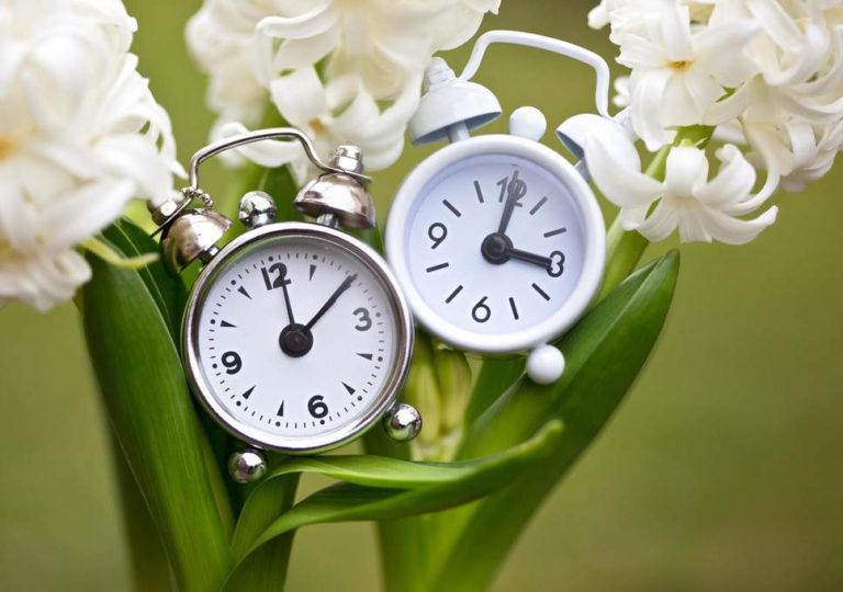 Daylight Saving Time 2019: Complete Guide To When, Why, What & How