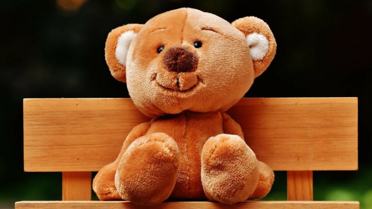 Happy Teddy Day 2019: Top Collection Of Wishes, Message And Quotes