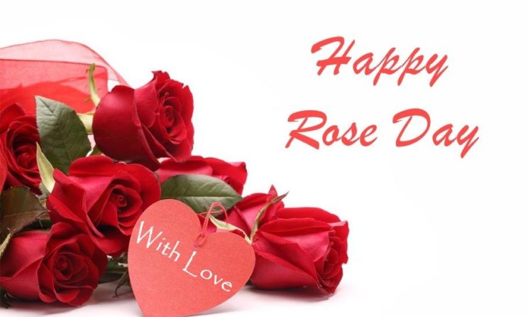 Rose Day 2019 Images, DP, Profile Pics