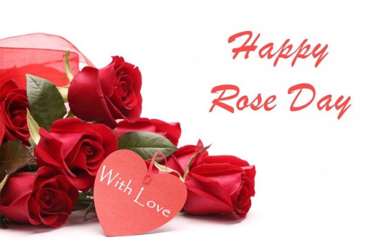 Rose Day 2019 Images, DP, Profile Pics