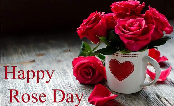 Rose Day 2019 Images, DP, Profile Pics