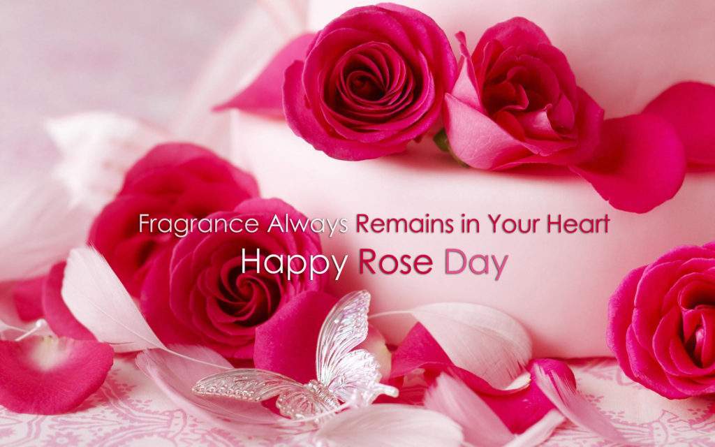 Rose Day 2019 Images, DP, Profile Pics