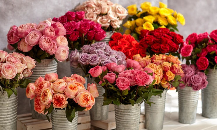 These Are The Best Same Day Flower Delivery Sites For Any Occasion!