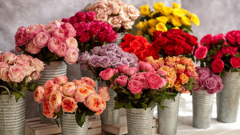 These Are The Best Same Day Flower Delivery Sites For Any Occasion!