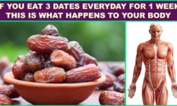 These Are The Six Health Benefits Of Consuming Dates!