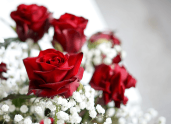 Valentine’s Week Days 2020 Quotes, Status, Wishes, Messages, Images & HD Card