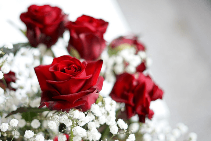Valentine’s Week Days 2020 Quotes, Status, Wishes, Messages, Images & HD Card