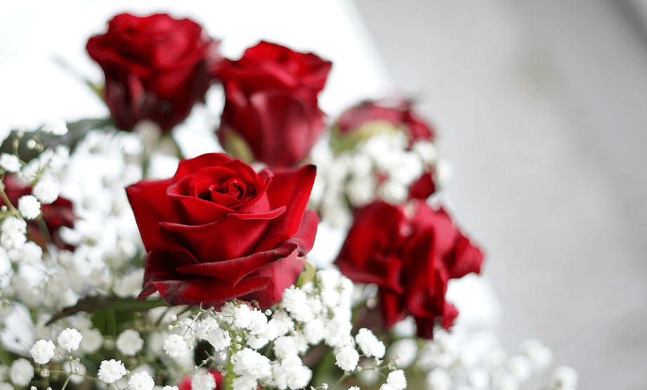 Valentine’s Week Days 2020 Quotes, Status, Wishes, Messages, Images & HD Card