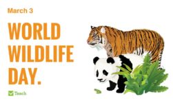 3 March World Wildlife Day 2019: Life Below Water For People And Planet