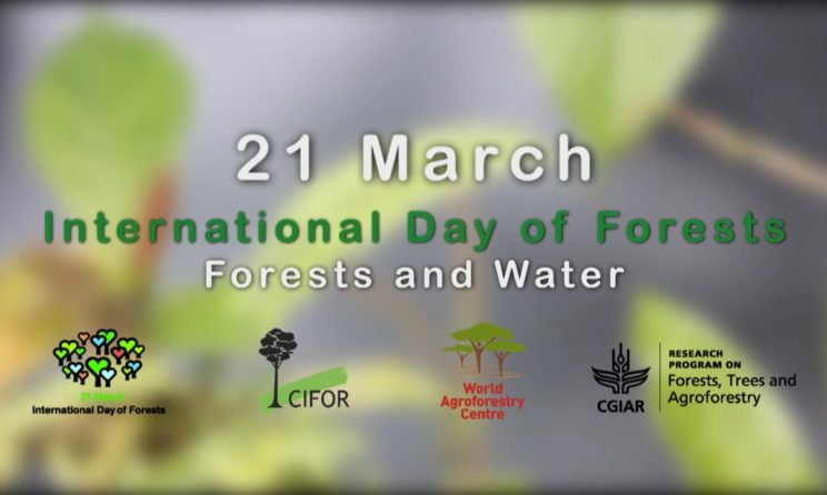 International Day of Forests 2019 : Some Facts About Forests You Need To Know!