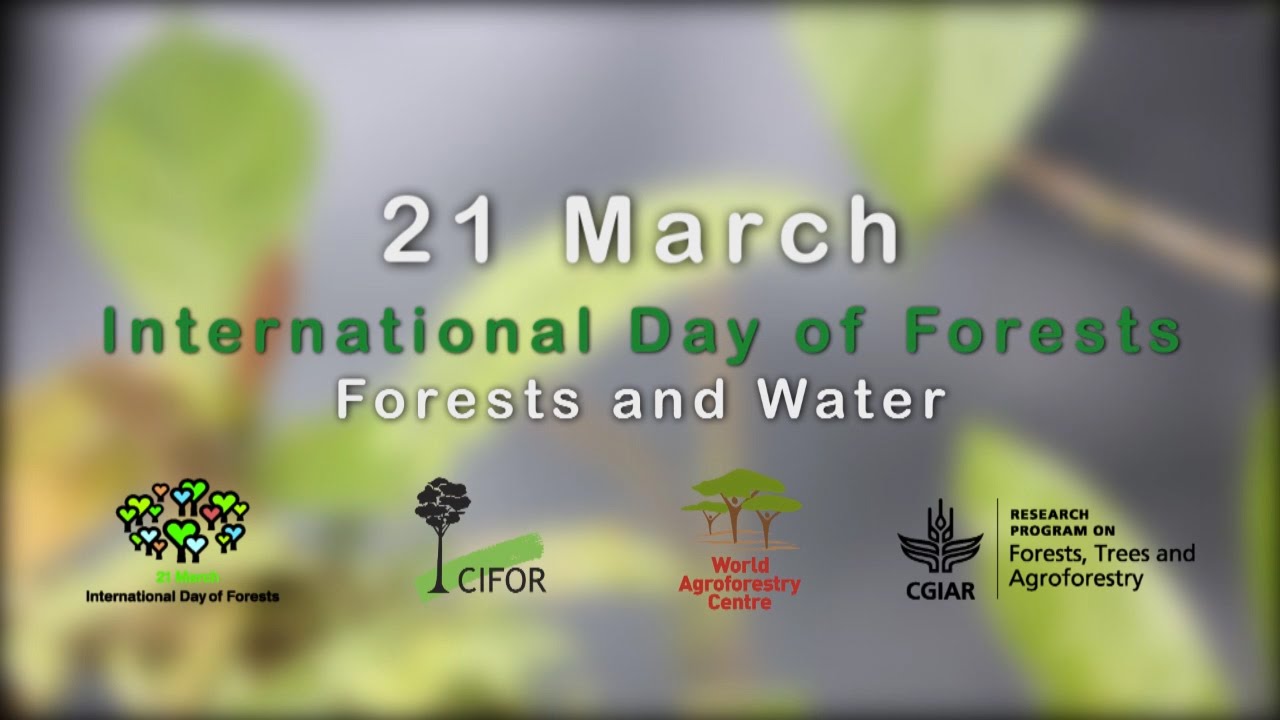 International Day of Forests 2019 : Some Facts About Forests You Need To Know!