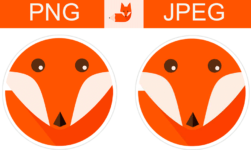 JPEG vs PNG: Which Is The Better Format For Compressed Images?