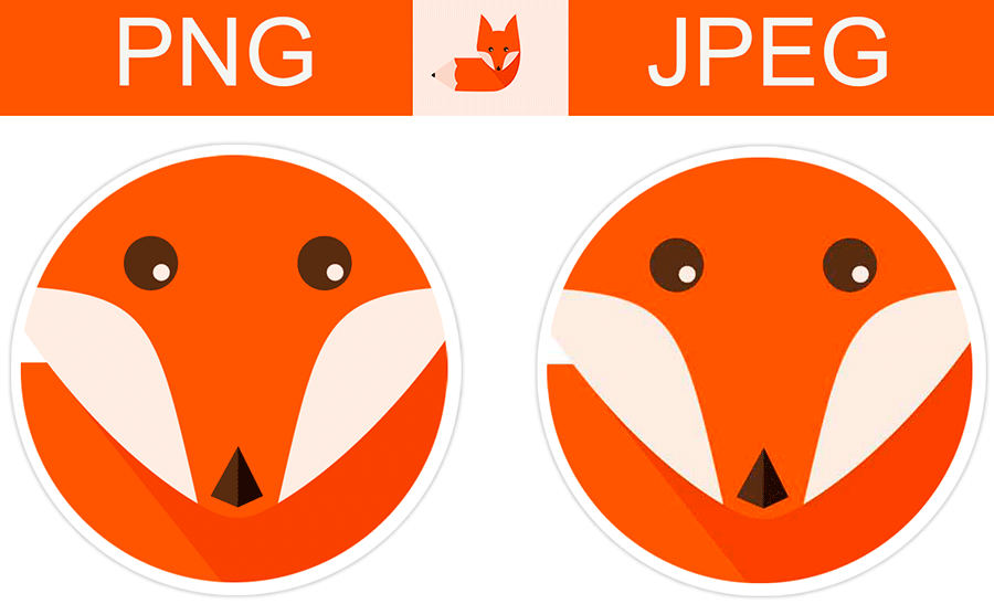 JPEG Vs PNG Which Is The Better Format For Compressed Images 