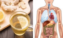 These Are The Various Health Benefits Of Using Ginger Everyday