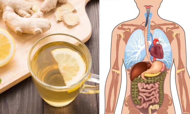 These Are The Various Health Benefits Of Using Ginger Everyday