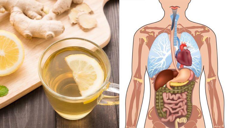 These Are The Various Health Benefits Of Using Ginger Everyday