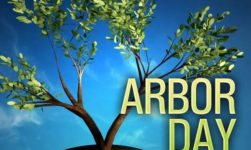 Arbor Day 2019: Facts, Quotes, Messages To Celebrate This Remarkable Day