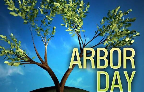 Arbor Day 2020: Facts, Quotes, Messages, Activities To Celebrate This ...