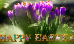 Happy Easter Images, Wallpaper, Easter Sunday pictures for Whatsapp DP and status 2019