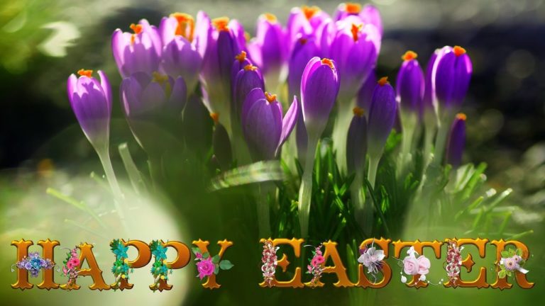 Happy Easter Images, Wallpaper, Easter Sunday pictures for Whatsapp DP and status 2019
