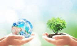 When is Earth Day 2019?: Top Quotes, Activities And Celebration Ideas!