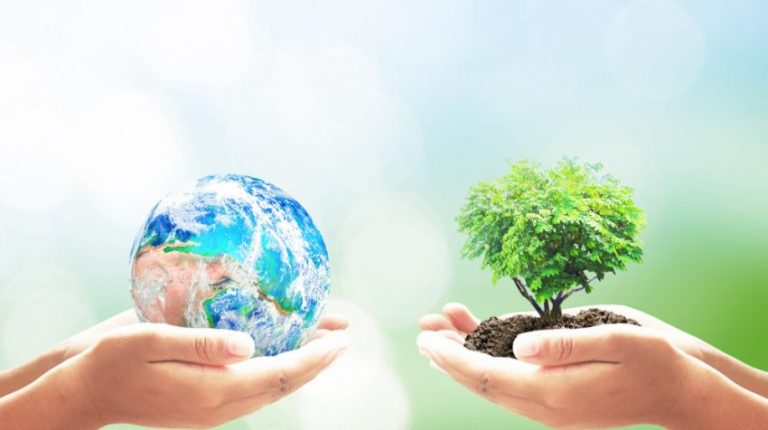 When is Earth Day 2019?: Top Quotes, Activities And Celebration Ideas!