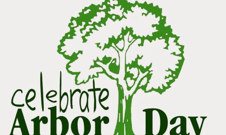 Why Everyone Should Participate in Arbor Day; Here Is The Reason?