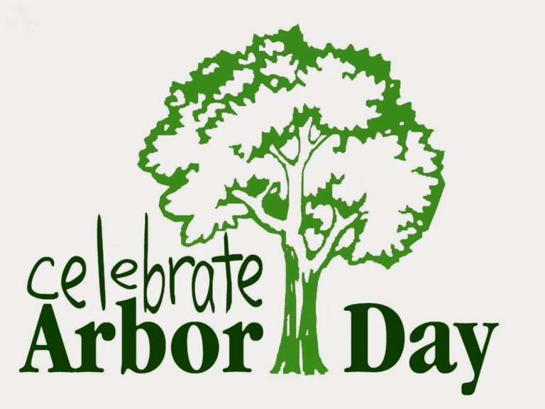 Why Everyone Should Participate in Arbor Day; Here Is The Reason?