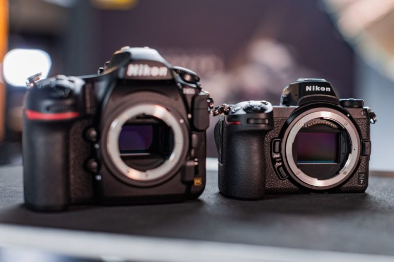 Nikon Z6 vs Nikon Z7: Which Is The Best Mirrorless Camera By Nikon?