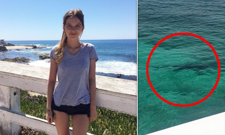 A 21-Year-Old College Student Killed By Group Of Sharks While Snorkeling In The Bahamas