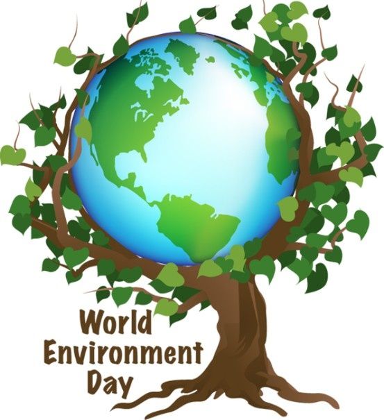 World Environment Day 2019: Activities, Celebration, Slogans, Posters & Quotes!
